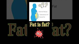 Subcutaneous Fat vs Visceral Fat Which Is More Dangerous [upl. by Nerta696]