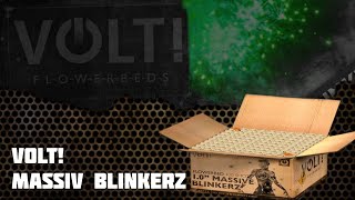 VOLT Fireworks  Massiv Blinkerz  F2 Verbund [upl. by Docilla]