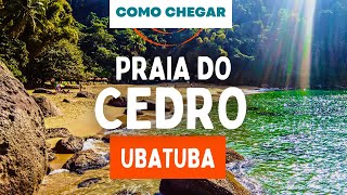 Praia do Cedro Ubatuba também conhecida como Cedrinho com imagens da praia e da trilha de acesso [upl. by Yhtrod853]