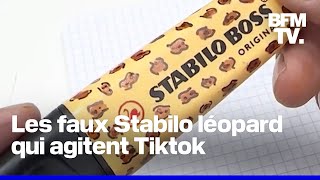 Le surligneur Stabilo léopard qui passionne Tiktok nexiste pas [upl. by Dirk]