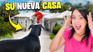 Así Reaccionó Tito a su Nueva Casa ♥ La Finquita Bonita ♥ Sandra Cires Vlog [upl. by Adnilahs]