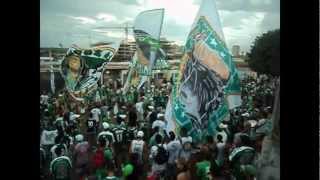 Torcida Gamense  Aquecimento Ira Jovem Gama  Gama x Brasiliense [upl. by Eyahs502]