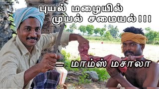 புயல் மழையில் முயல் சமையல்   மாம்ஸ் மசாலா  HEALTH BENIFITS [upl. by Sreip]