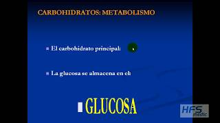 BIOQUIMICA CARBOHIDRATOS aspectos básicos aplicados al ejercicio físico [upl. by Eissolf]