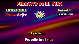 PEDACITO DE MI VIDA D Cumbia Peruana  KARAOKE [upl. by Goodkin]