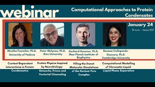 Computational Approaches to Protein Condensates [upl. by Phionna]