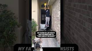 ⚠️When Stunads and wasps 🐝collide 🤣😱😳 reaction viral dogs funny [upl. by Watters]