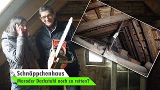 Maroden Dachstuhl retten  Dachsanierung  Dachboden ausbauen 🏡 Bauvlog 7 [upl. by Arondel]