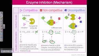 Enzyme inhibition [upl. by Aivul]