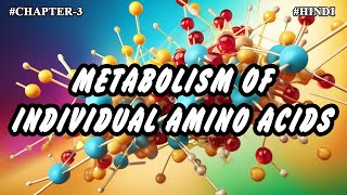 Chapter  3  Metabolism Of Individual Amino Acids Part3  Hindi [upl. by Whiney]