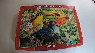 Time Lapse Puzzle Castorland Interlude 3000 [upl. by Skyla]