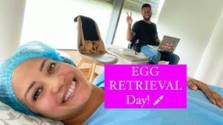 IVF Egg RETRIEVAL [upl. by Iinde]