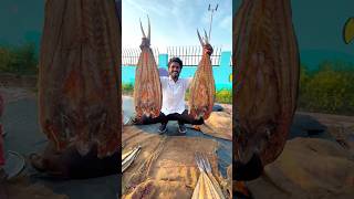 ఎండు చేపలు కాకినాడ fishing kakinada dryfishrecipe youtubeshorts [upl. by Viglione]