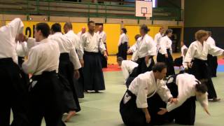 USHIRO RYOTEDORI IKKYO OMOTE VARIATION 2 [upl. by Kcirrez132]