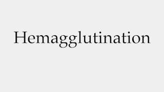 How to Pronounce Hemagglutination [upl. by Ssalguod227]