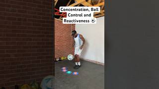 reaction concentration football reactiveness [upl. by Enawd]