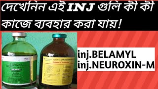 Belamyl and NeuroxinM injection Veterinary Uses [upl. by Kara-Lynn]