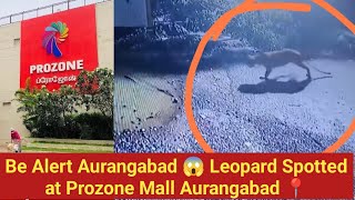 Be Alert Aurangabad 😱 Leopard Spotted at Prozone Mall Aurangabad 📍 [upl. by Ansley420]