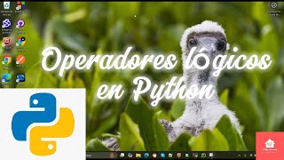 PYTHON Operadores lógicos en Python techno technology programming programacion [upl. by Jandel]