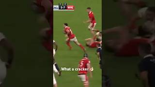 Beautiful from start to finish sixnations rugby shorts short rugbyunion wales [upl. by Panayiotis]