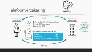 Verzekeren  Bedrijfseconomie  havo  vwo domein B [upl. by Middle]