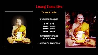 หลวงตาม้าถ่ายทอดสด วัดถ้ําเมืองนะ เชียงใหม่ Live Stream [upl. by Jonas]