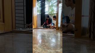 27 Aug 2024Enga veettu Krishna Jayanthi ipditha irundhuchu Neenga diml home minivlog cleaning [upl. by Massab]