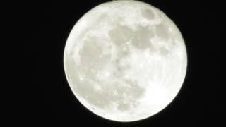 SUPERMOON FULLMOON NOV 14 2016 Panasonic HCw580 CAMCORDER settings Review [upl. by Eittap174]