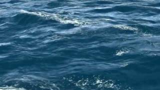 3d seaocean waves animation [upl. by Sakhuja]