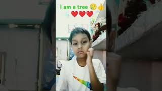 I am a tree didi so good I always stop [upl. by Sicular]