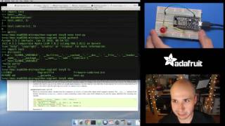 MicroPython Basics Loading Modules with Tony D micropython LIVE [upl. by Gabbi]