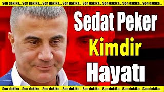 Sedat Peker Kimdir Mal Varlığı Ne Kadar [upl. by Eirak]