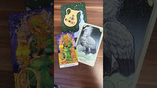 Wo schätzt du dich selbst zu gering tarot orakel selbstwert selbstbewusstsein mut selbstliebe [upl. by Elleivap]