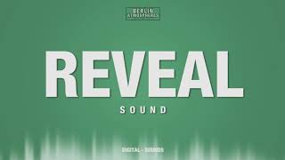 Reveal SOUND EFFECT  Logo Reveal SFX Text Reveal SFX [upl. by Dympha]