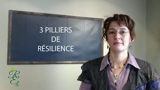 RÉSILIENCE  LES 3 PILLIERS INDISPENSABLES [upl. by Anelah376]