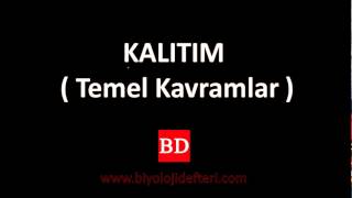 KALITIM  1  Temel Kavramlar [upl. by Norret]