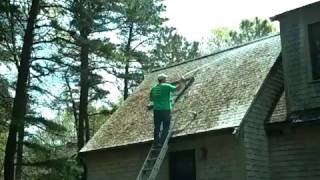 remove roof moss like a professional [upl. by Haletky]