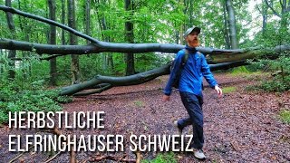 Herbstliche Elfringhauser Schweiz  Natur in NRW  2022  Jörg Müller [upl. by Nivrae]