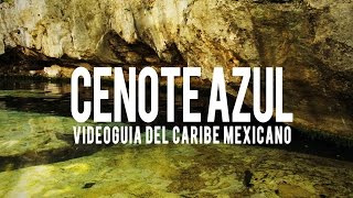 Cenote Azul Rviera Maya [upl. by Yrnehnhoj]