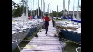 The Littlest Hobo Season 2 Episode 8 Sailing Away [upl. by Dibbrun]