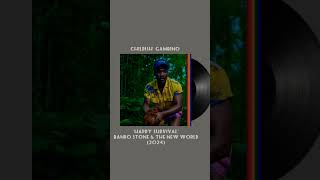 Childish Gambino  Happy Survival vibes isuperb iconic ChildishGambino BandoStone anaesthete [upl. by Niret6]