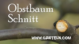 Obstbaumschnitt von Jänner bis März [upl. by Dareg]