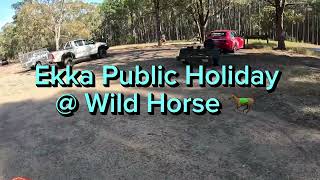 Ekka Public Holiday Ride  Wild Horse Mountain [upl. by Mendy217]