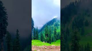 music art kashmiri nature [upl. by Broddy]