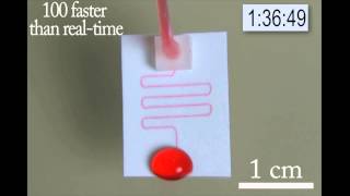 Paper Microfluidic Device running for 3h [upl. by Bealle]