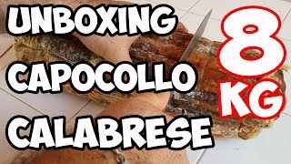 Unboxing Capocollo Calabrese 8kg Stagionato Special Edition 4k [upl. by Eniortna95]