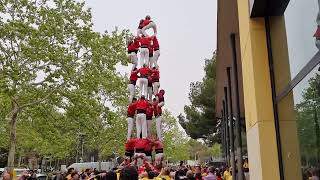 Castellers de Barcelona 4 de 8  Diada del Local de Castelldefels 2024 [upl. by Aicert]