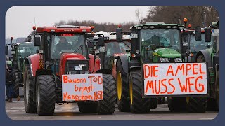 Deshalb protestieren Bauern und andere gerade [upl. by Suiratnauq178]