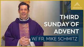 Third Sunday of Advent  Mass with Fr Mike Schmitz [upl. by Hardigg741]