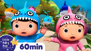 Baby Shark Dance  60 min of LittleBabyBum  Nursery Rhymes for Babies ABCs and 123s [upl. by Onitnatsnoc562]